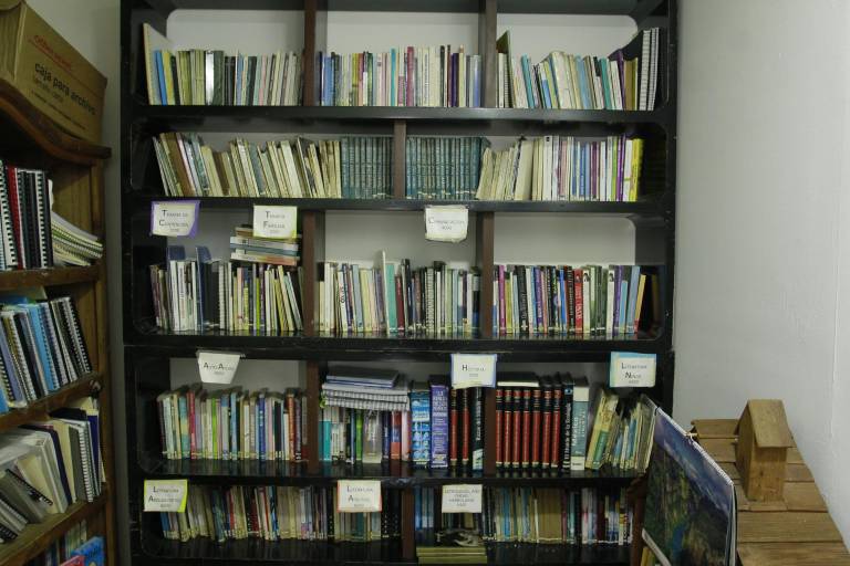 Cumple Instituto Shalom 19 años formando terapeutas y restaurando vidas