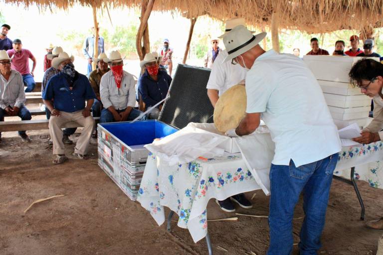 En ceremonia histórica, pueblo yaqui recibe el Maaso Koba y objetos ceremoniales repatriados desde Suecia