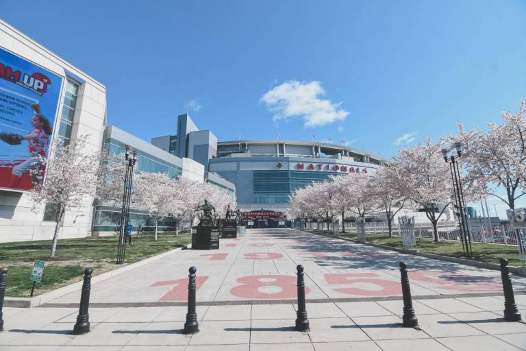 Pospuesto el resto de la serie Mets-Nacionales por Covid-19