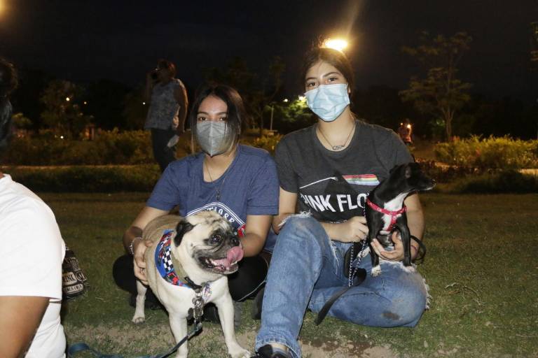 Disfrutan noche de cine en el Museo Materia