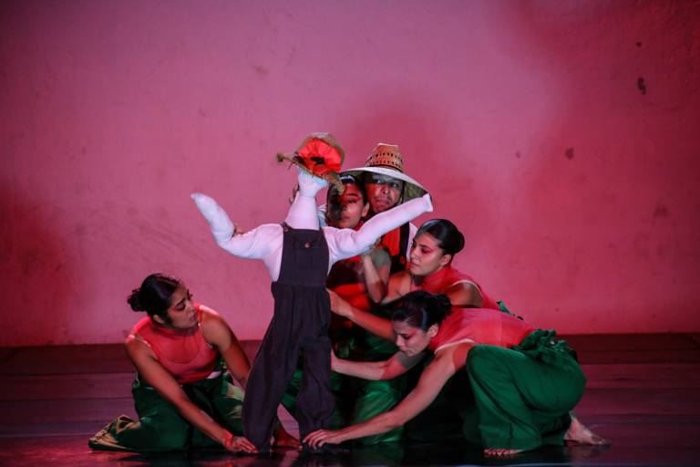 Recrean con movimiento la belleza de la Amapola