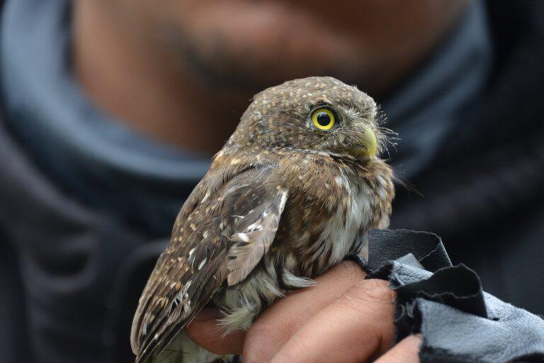 $!El investigador que usa la ciencia para defender al Bosque de Agua en México