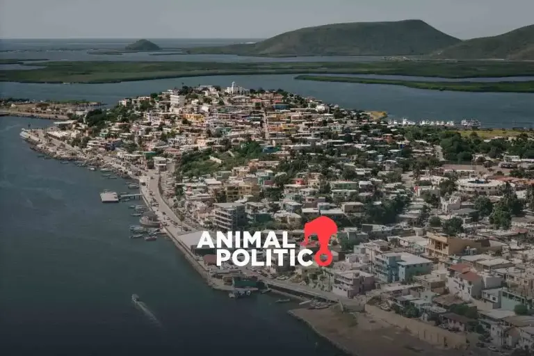 Planta de amoniaco y de gas natural licuado en Sinaloa impactarían de manera ‘destructiva’ la bahía de Topolobampo: ONU