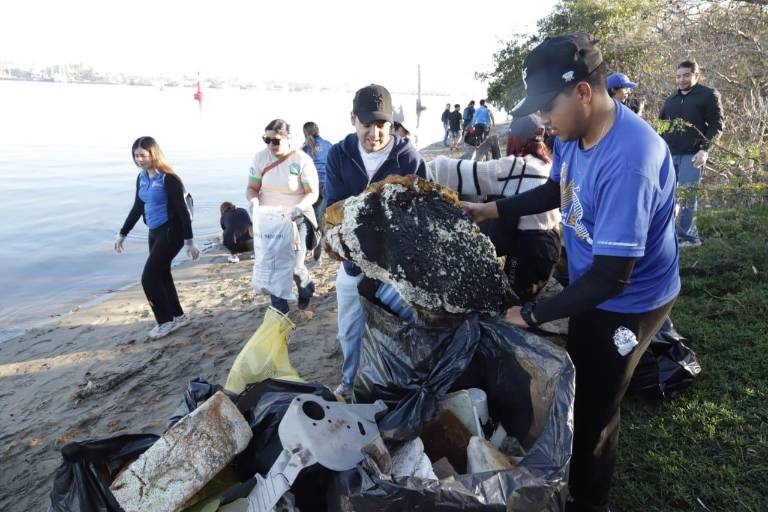 Realiza Colectivo MazConCiencia limpieza masiva en el manglar de la Isla de la Piedra