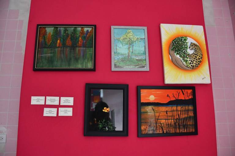 Invitan a cuidar el habitat con la exposición ‘El Efecto de la Coexistencia’