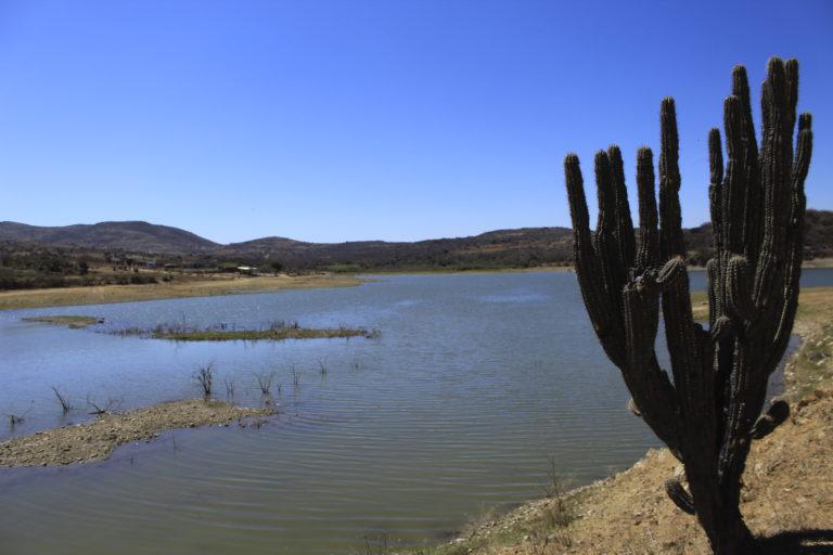 $!La presa El Bayito abastece a los habitantes de San José del Progreso, en Oaxaca, México, quienes denuncian que el nivel de agua ha disminuido desde que llegó una minera a la región.