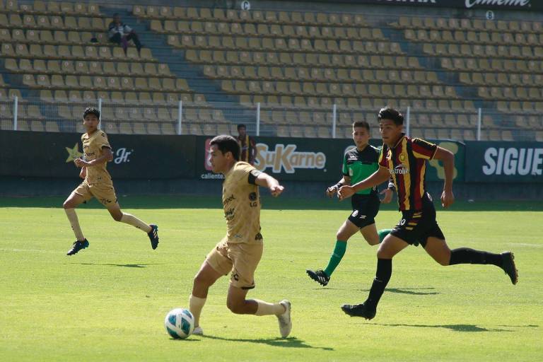 Dorados de Sinaloa se medirá a Tecos por un boleto a la final de la TDP