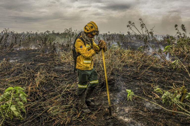 $!Miembro de la brigada en la zona del Pantanal de Mato Grosso do Sul, zona destruida por un incendio en 2024.