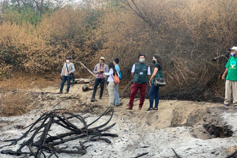 $!Expertos y autoridades encuentran uno de los árboles quemados por un incendio forestal en El Cañoncillo, Perú.