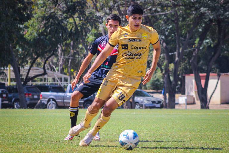 Contundente victoria de Dorados en Nayarit