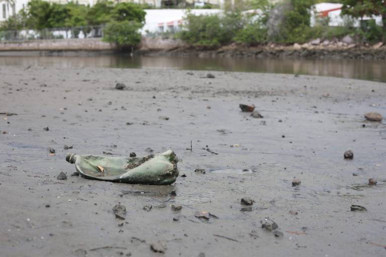 De continuar la contaminación en el Estero del Yugo, playas de Mazatlán no serán aptas para bañistas: Sofía Trejo