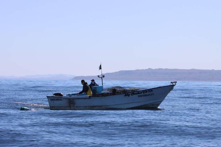 El 79% del sector pesquero considera que hay pesca ilegal en sus comunidades: CN Center