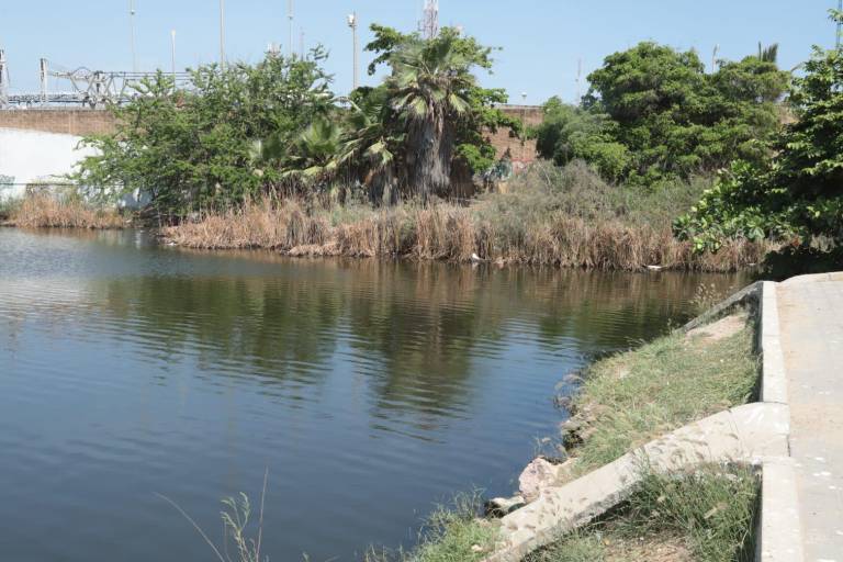 Laguna del Camarón, sin mortandad de peces pero aún con contaminación