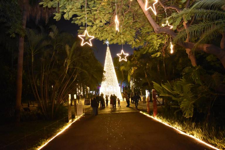 La esperanza se llena de luz con ‘Navidad en el Botánico’