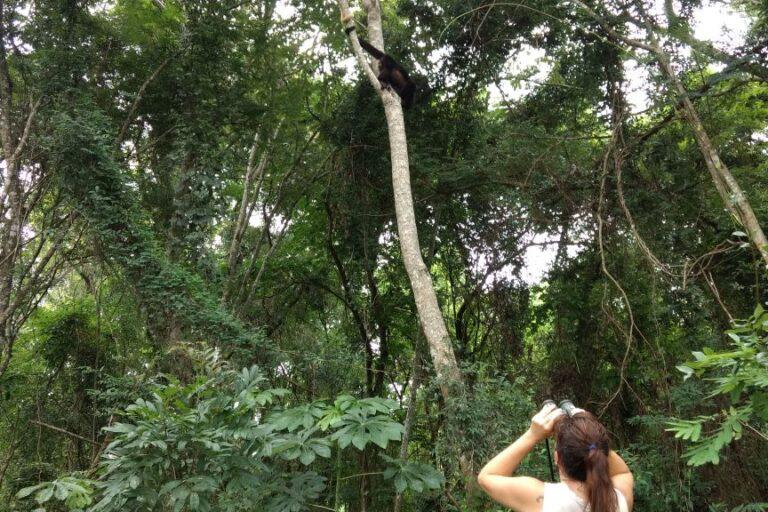 $!Oklander explica la importancia de los mapas genéticos para identificar y reintegrar a primates que fueron víctimas del tráfico de especies.