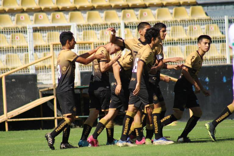 Dorados triunfa en la reanudación de la TDP