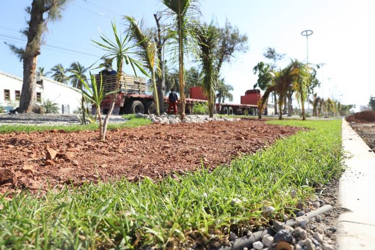Embellecen camellón central y colocan lámparas led en Avenida Gabriel Leyva, en Mazatlán