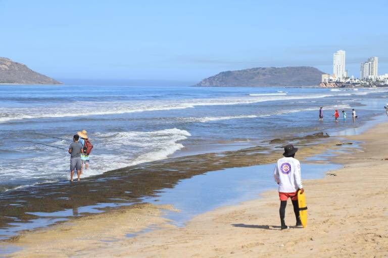 Llama Policía Acuática a no tocar las aguamalas que salen en playas de Mazatlán
