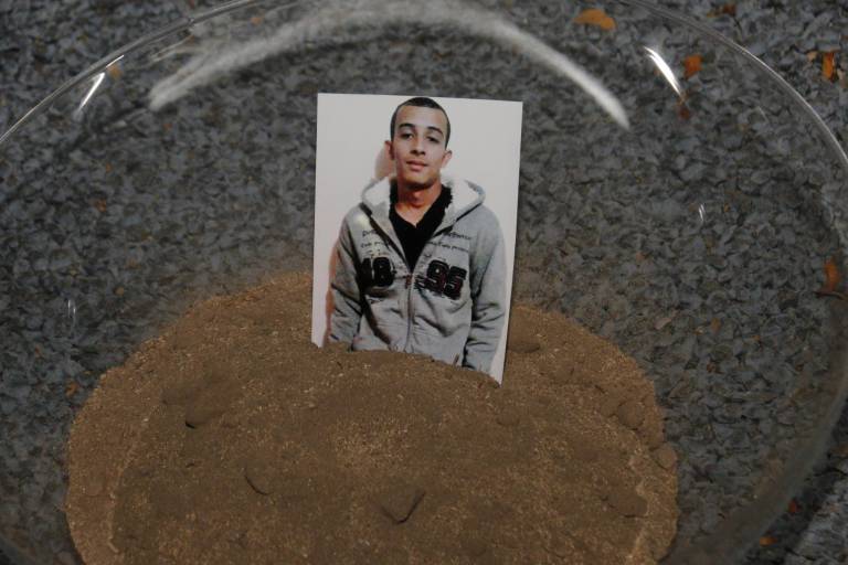 Presenta ‘Te nombré en el silencio’, en el Jardín Botánico