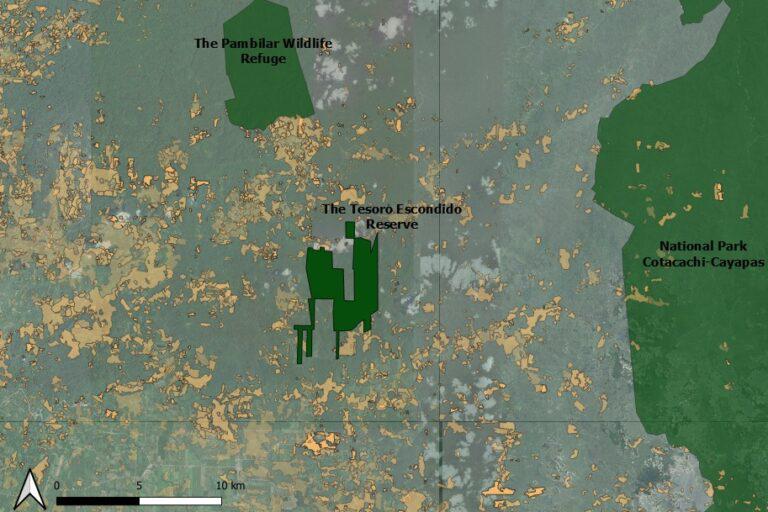 $!La Reserva Tesoro Escondido, en la provincia de Esmeraldas, en Ecuador, está rodeada de áreas protegidas, pero también de zonas deforestadas desde 1990 (en amarillo).