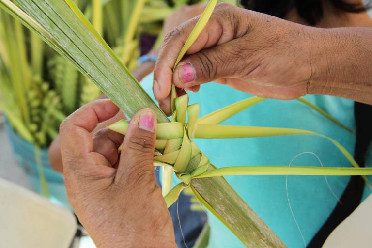 Con el Domingo de Ramos inicia la Semana Santa en la Iglesia Católica