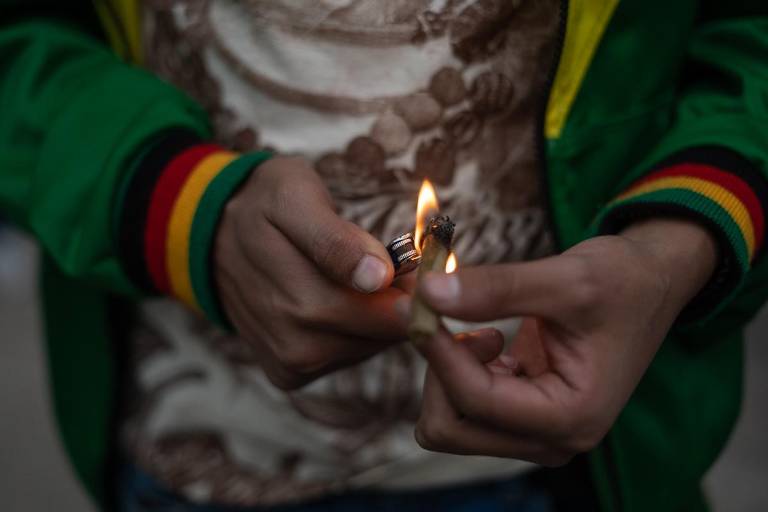 Avanza en el Congreso la despenalización de la mariguana en México; ¿qué cambiaron?