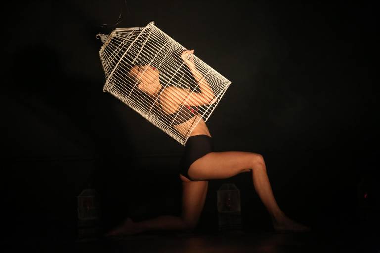 Honra Danza Joven a cuatro grandes de la cultura en ‘Columnas Sinaloa’