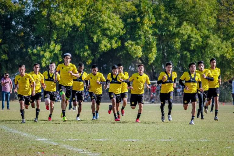 Liga de Expansión, un dolor de cabeza para Dorados