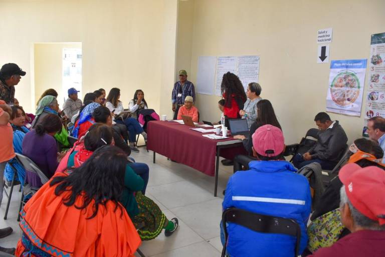 Plan de Justicia de la Sierra Tarahumara defiende derechos inalienables de los pueblos indígenas a sus tierras, bosques y agua