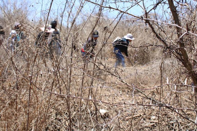 Mapa oficial de entierros ilegales genera dudas sobre el tamaño real de la tragedia