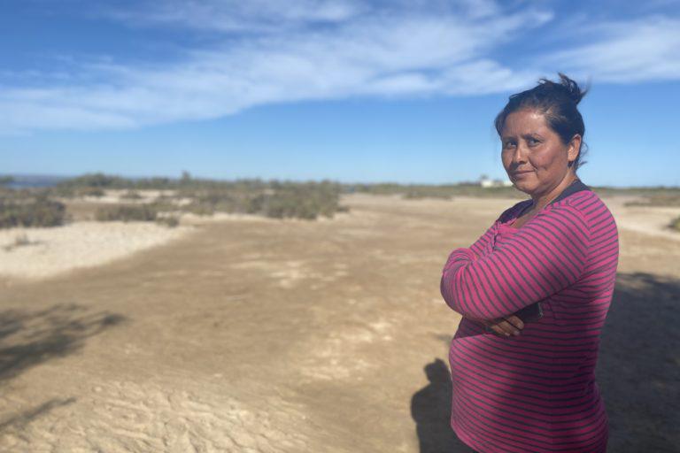 México: las mujeres que protegen al amenazado callo de hacha