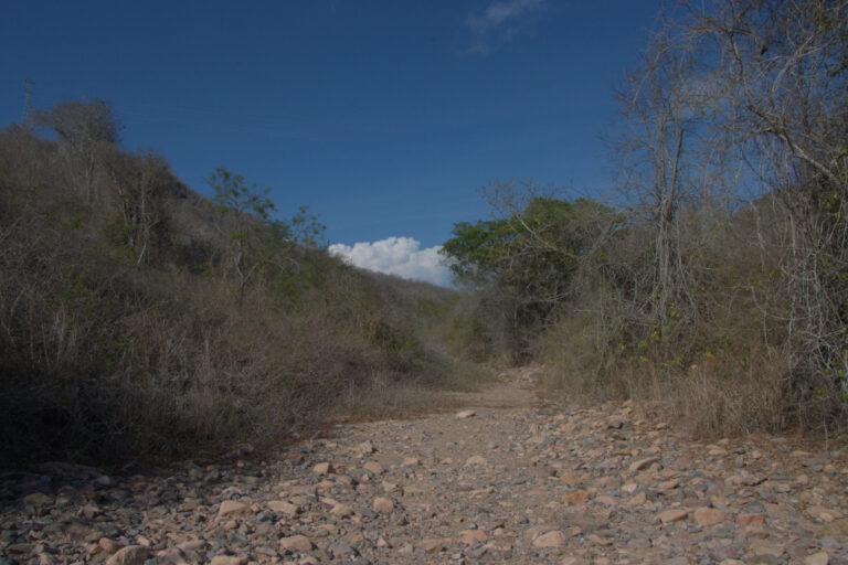$!Arroyo seco en Chamela-Cuixmala.