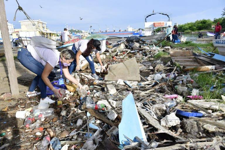 Limpian playa de la Isla de la Piedra, ante arribo de crucero a Mazatlán este miércoles