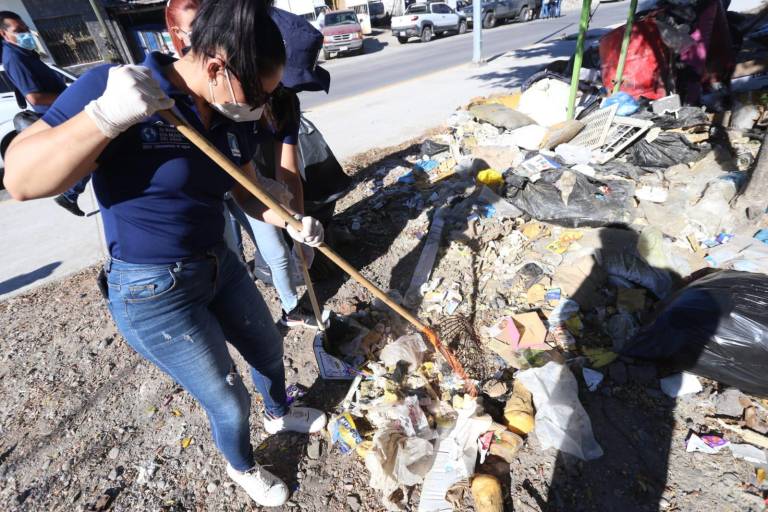 Ciudadanos y autoridades limpian zona de mangle en el Estero del Infiernillo, en Mazatlán