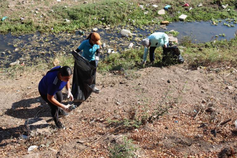 Con limpieza del arroyo Buñigas, participa de UTEsc en Jornada Nacional de Tequios por la Paz, que impulsa la Presidencia de la República.