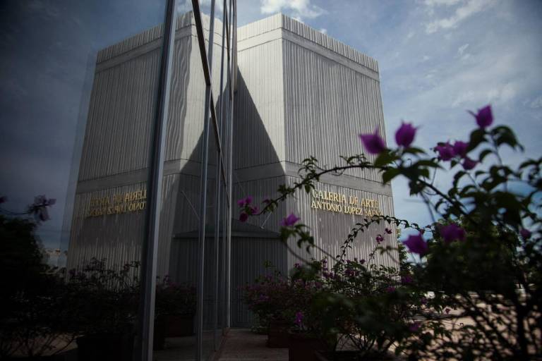 El jueves 11, expondrán beneficiarios del PECDAS 2024, en la GAALS