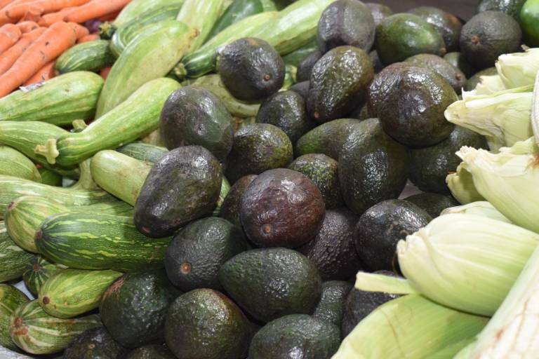 Aumenta en Culiacán el precio del limón, calabaza y aguacate