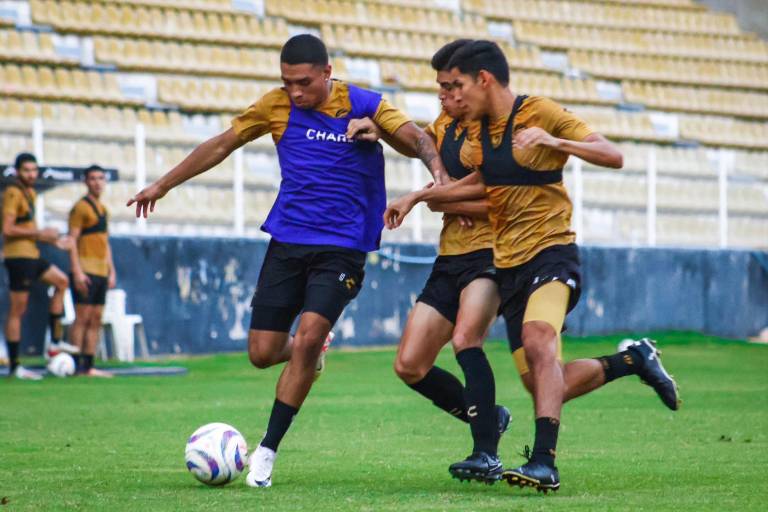 Dorados busca domar en el Jalisco a los Leones Negros