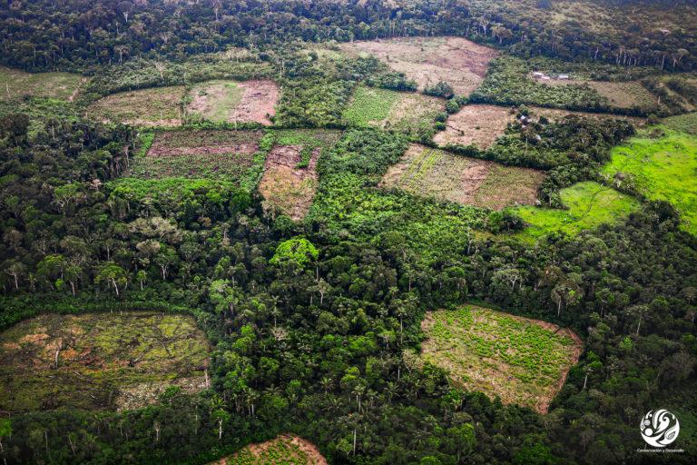 $!Lotes deforestados en el parque Sierra de La Macarena, contiguo al parque Tinigua, Colombia.