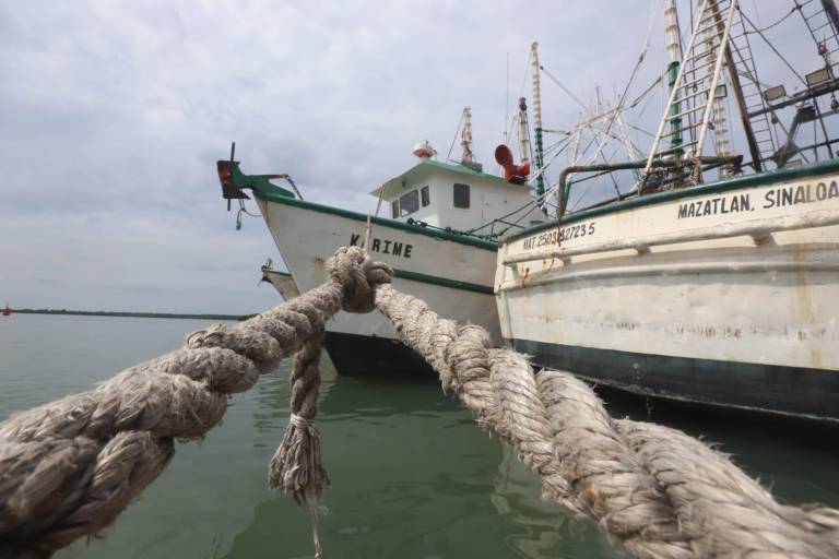 De fiado avituallan barcos, afinan motores y esperan el Bienpesca en lo que inician capturas del camarón