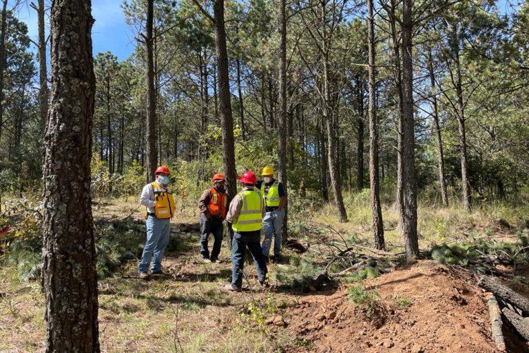 $!Ángel López Barrios (al lado izquierdo en la imagen), director técnico de la Asociación de Silvicultores de la Región Forestal, platica con Felipe González Muñoz (de espaldas en la foto) presidente del comisariado del ejido La Estancia y con otro de los trabajadores sobre los trabajos para combatir al escarabajo descortezador.