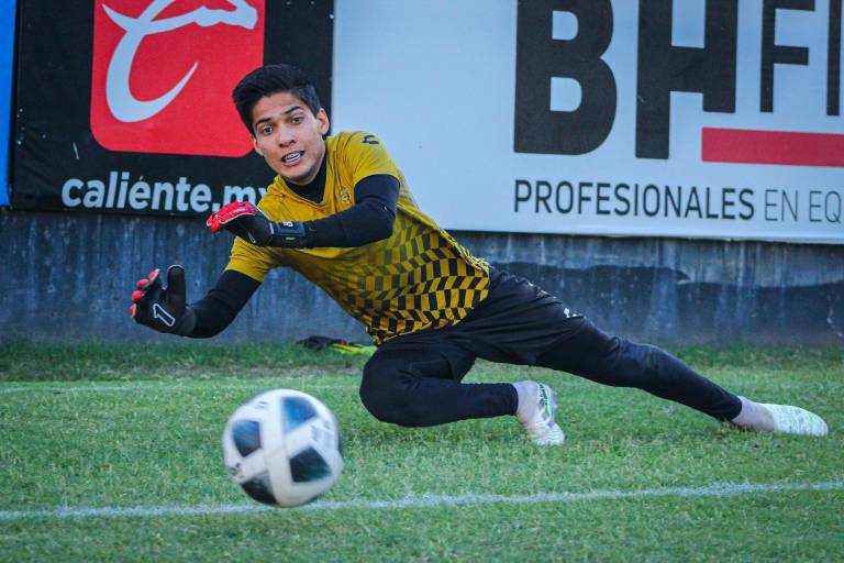 Dorados de Sinaloa tendrá complicada visita a Oaxaca, para medirse al líder Alebrijes