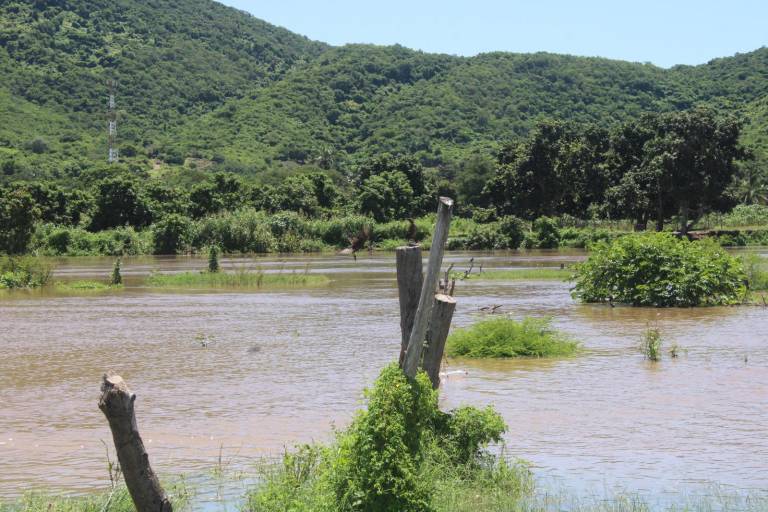 Aunque se realizó desfogue en la presa Santa María, ya es tarde para la pesca: camaroneros