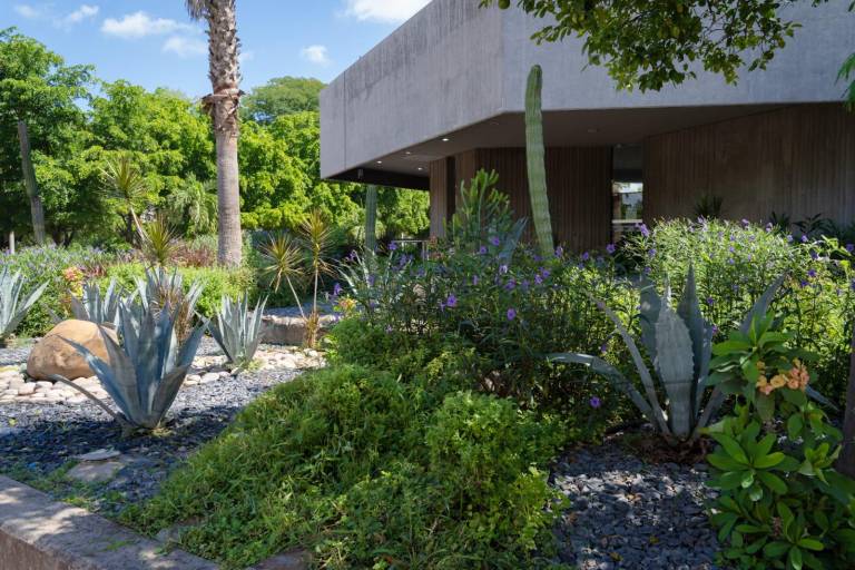 Transforman áreas verdes del Instituto Sinaloense de Cultura