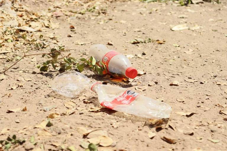 Indica investigador que el plástico intoxica ecosistemas y es nocivo para especies del planeta