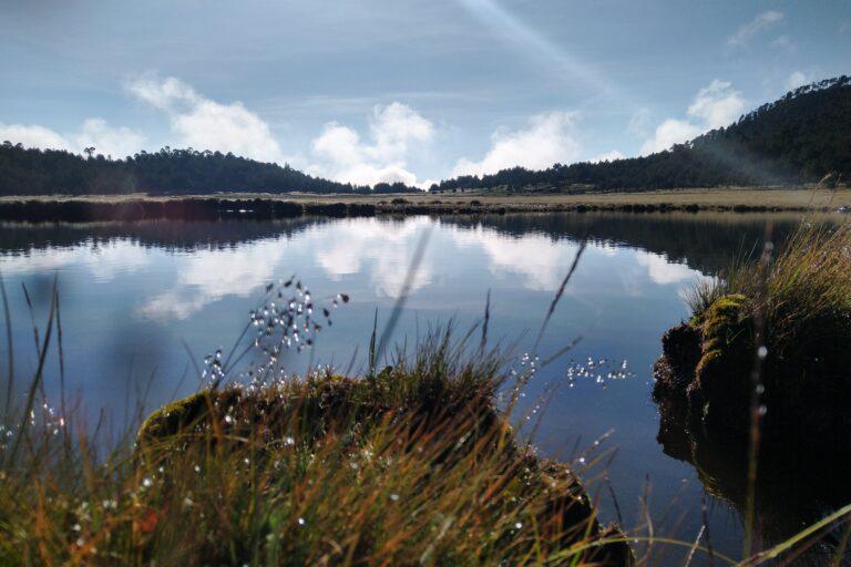 $!El investigador que usa la ciencia para defender al Bosque de Agua en México