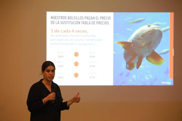 Dan en Mazatlán ‘gato x liebre’ en pescados y productos del mar, alerta Oceana