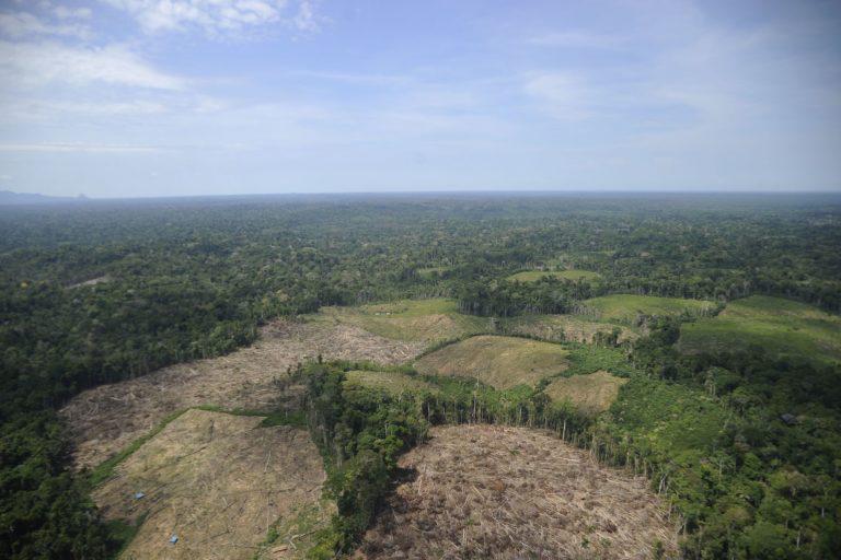 $!Deforestación en Ucayali, Amazonía peruana.