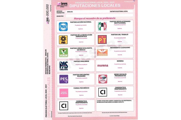 Anular y abstenerse: Qué implican estas opciones para los ciudadanos en las elecciones