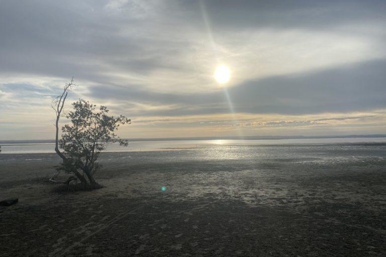 México: las mujeres que protegen al amenazado callo de hacha